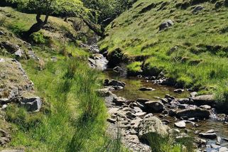 Proč se může říkat, že za komunistů bylo líp, aneb vzpomínky jedné seniorky - Médium.cz